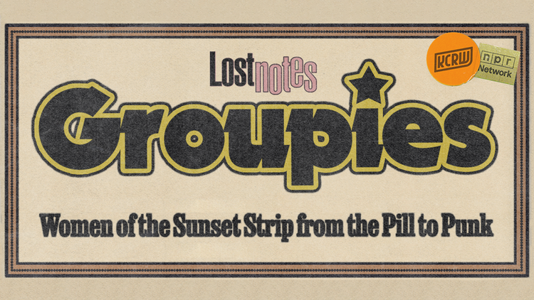 In the mid 1970s, as glam rock fizzled out, new kids began to trickle in on the block–kids who looked up to the groupies as party girl icons, as rock’n’roll legends, who went out there…